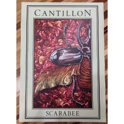 Scarabée poster (formaat A2)