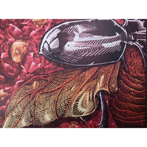 Scarabée poster (size A2)